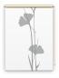 Preview: Rollo Ginkgo  grey-grey, Motivrollo, Rollo mit Druck, Fotorollo, bedrucktes Rollo, Fensterrollo,verdunkelndes Rollo, Sonnenschutz Rollo